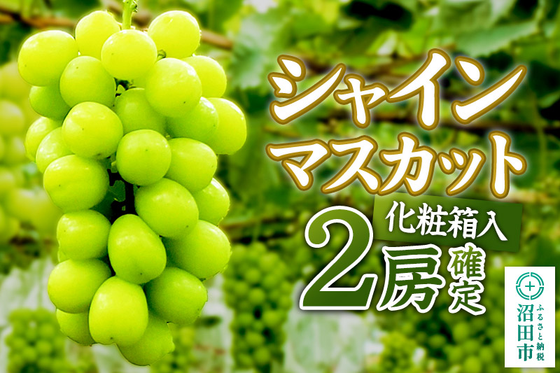 《9月中旬以降発送》先行予約 果実の里 原田農園 シャインマスカット 2房（約1.4kg〜1.6kg）化粧箱入り