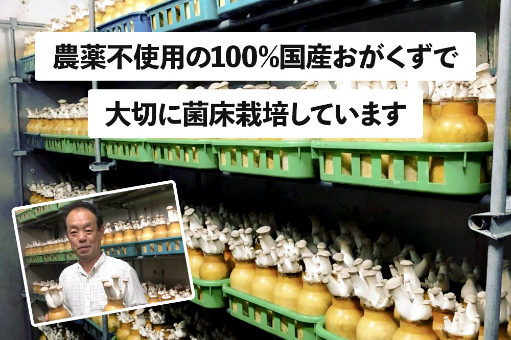 歯ごたえよし！香り抜群の3種のきのこ（エリンギ、黒舞茸、ハナビラタケ）の詰め合わせ