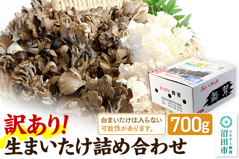 【訳あり】おいがみ舞茸園 生まいたけ詰め合わせ