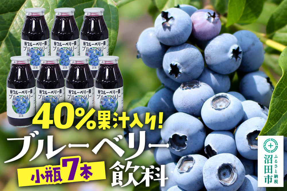 40％果汁入り ブルーベリー飲料 180ml×7本セット
