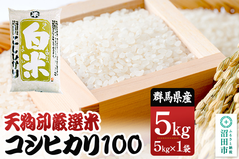 令和7年産 天狗印厳選米「コシヒカリ100」5kg 精米 白米 こしひかり