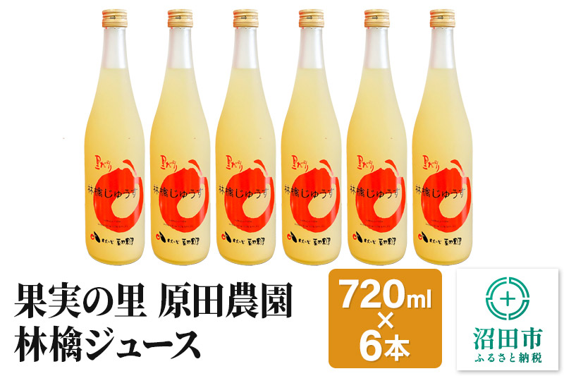 果実の里 原田農園 林檎ジュース 720ml×6本 りんごジュース ストレート100％果汁