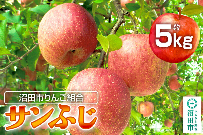 《12月下旬〜1月中旬発送》沼田市りんご組合 りんご（サンふじ）約5kg 群馬県沼田市 [林檎 りんご リンゴ サンふじ]