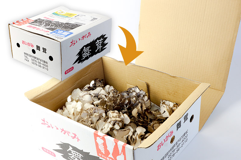 縲占ィウ縺ゅj縲代♀縺縺後∩闊櫁減蝨 逕溘∪縺縺溘¢隧ー繧∝粋繧上○