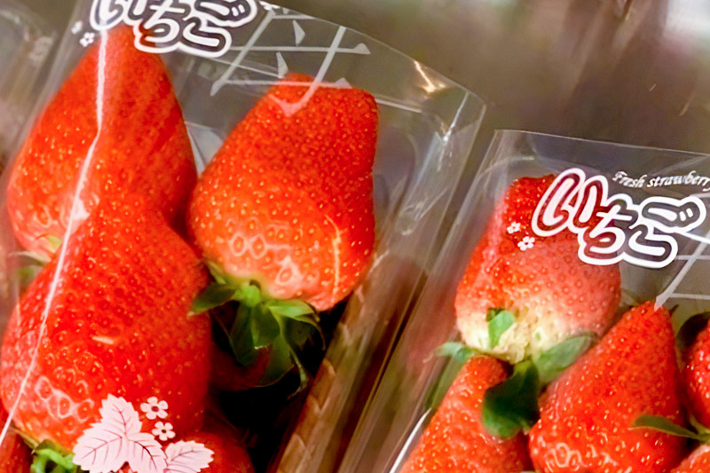 ã2026幎1æäžæ¬ã4æäžæ¬çºéãæå®ã®é åç°èŸ²å ãã¡ã çŽ250gÃ4ããã¯