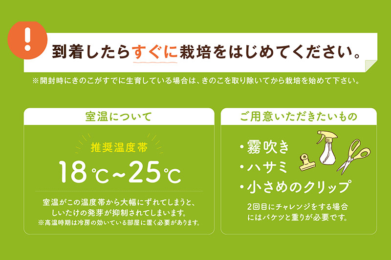 【栽培容器付】もりのしいたけ農園「しいたけ栽培キット」1個