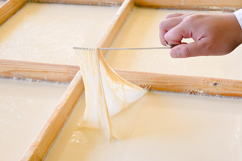 逕コ逕ー螻 逕溘f縺ー繝サ蜑オ菴懆ア閻舌そ繝繝 5遞ョ