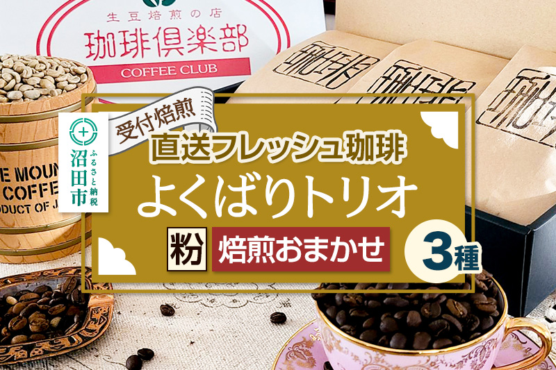 《受付焙煎》直送フレッシュ珈琲 よくばりトリオ【粉／焙煎度合いの指定はできません】各200g×3種 計600g 珈琲倶楽部 沼田店