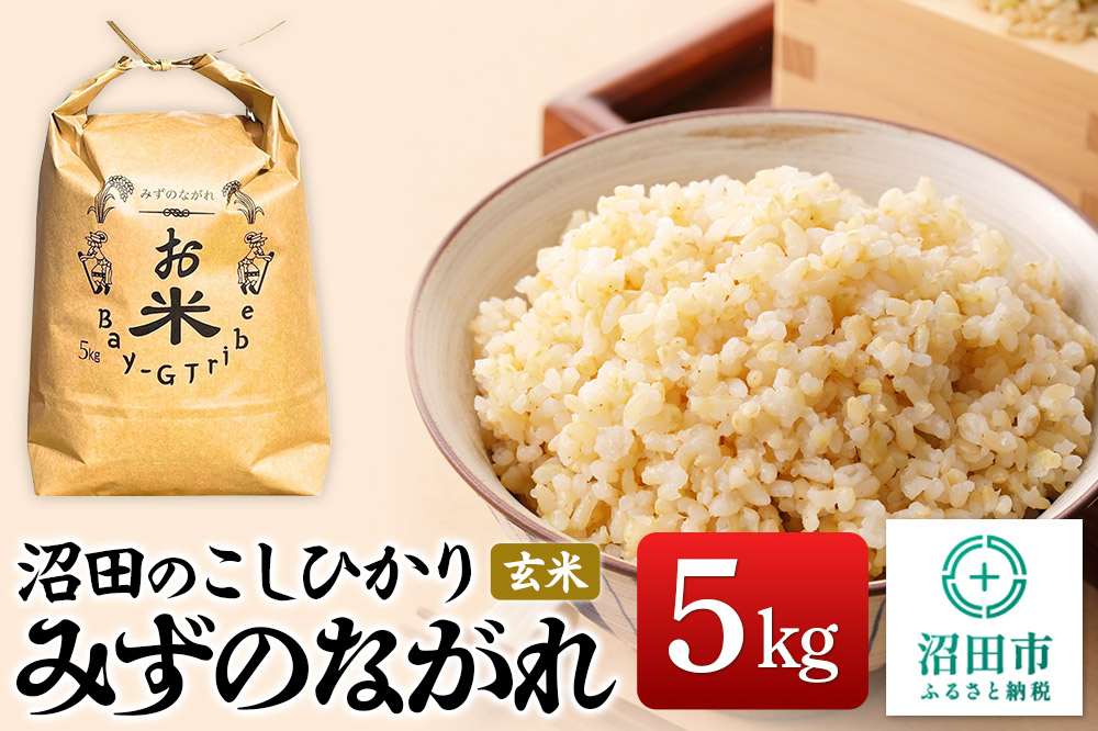 令和7年産 新米 沼田のこしひかり「みずのながれ」群馬県沼田市産 玄米 5kg コシヒカリ