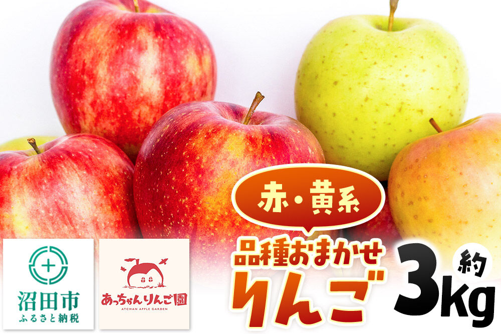 [11月上旬〜下旬にお届け]品種おまかせ りんご 約3kg(7〜10個前後)箱入り あっちゃんりんご園 [林檎 りんご リンゴ 3kg フルーツ 果物 くだもの 群馬県 沼田市]