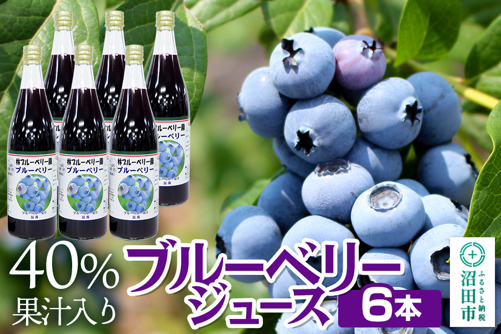 40％果汁入り ブルーベリージュース 720ml×6本セット