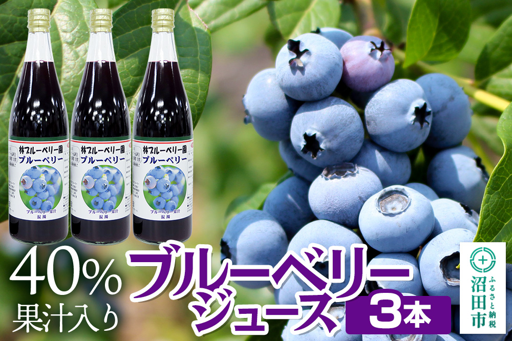 40％果汁入り ブルーベリージュース 720ml×3本セット