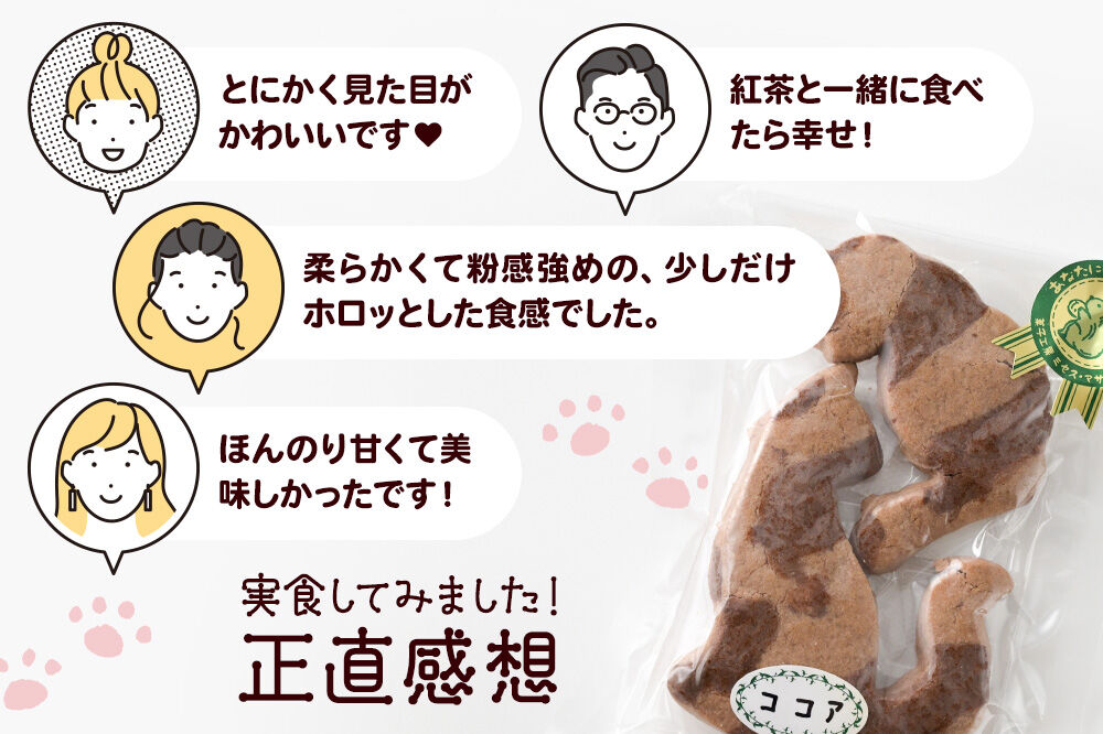 猫クッキーとチョコレートパウンドケーキセット（猫クッキー2個入り×2、ケーキ1個）【菓子工房 ミセス・マサコ】 [ネコ ねこ クッキー 猫型クッキー 焼菓子 デザート 贈り物 プレゼント 手土産 手作り セット 詰め合わせ チョコ チョコレート ケーキ 焼菓子 甘すぎない 自然の素材]