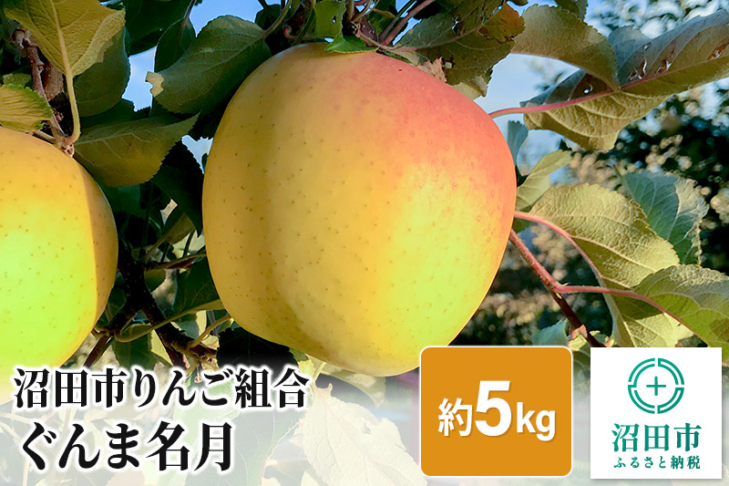 《2024年11月上旬以降発送》沼田市りんご組合 りんご（ぐんま名月）約5kg 群馬県沼田市