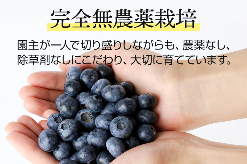《7月中旬〜8月中旬発送》完全無農薬栽培 ブルーベリー 約350g×3個 ベリーガーデン