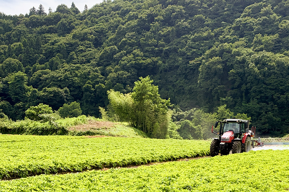 鄒、鬥ャ縺ョ縺薙s縺ォ繧縺剰セイ螳カ縺後♀螻翫¢縺吶k蜴ウ驕ク5轤ケ繧サ繝繝