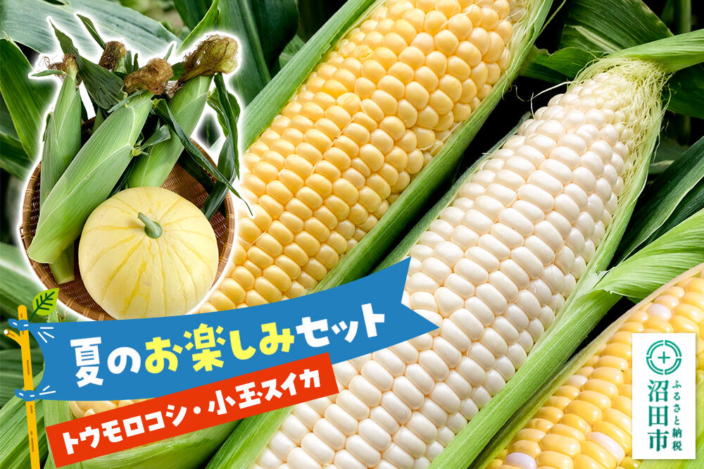 《7月下旬〜9月上旬発送》夏のお楽しみセット とうもろこし3本〜4本と小玉スイカ1個のセット [【野菜セット】トウモロコシ スイートコーン スウィートコーン 西瓜 すいか]