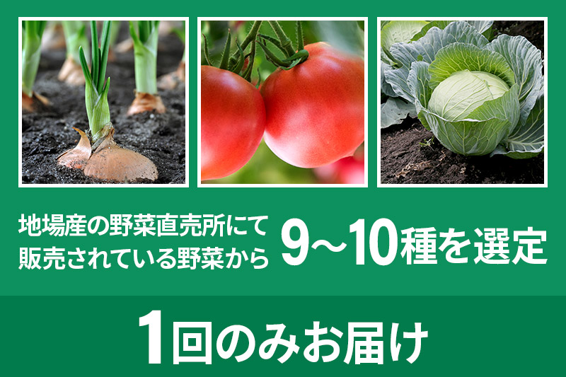 季節のお野菜 おまかせセット B（9〜10種類）詰め合わせ