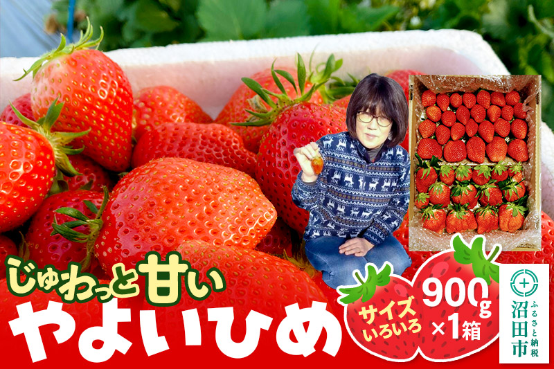 《2026年1月上旬〜2月上旬発送》じゅわっと甘い！サイズいろいろ「やよいひめ」約900g（1箱／梱包込）山口いちご園 苺 イチゴ いちご