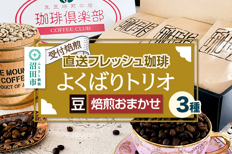 《受付焙煎》直送フレッシュ珈琲 よくばりトリオ【豆／焙煎度合いの指定はできません】各200g×3種 計600g 珈琲倶楽部 沼田店