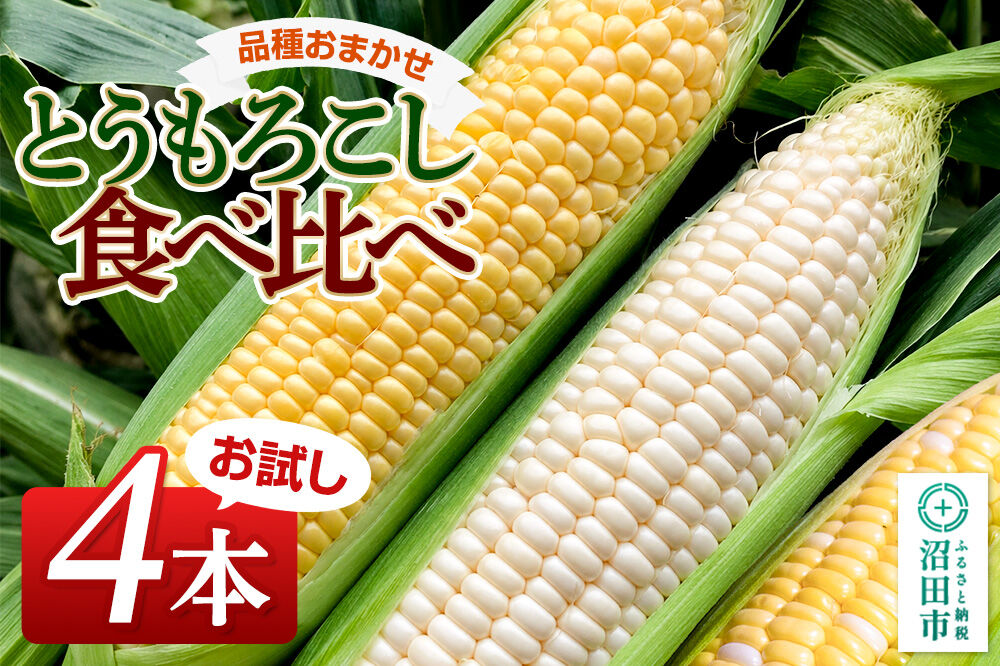 《7月下旬〜9月上旬発送》とうもろこし食べ比べ お試し4本セット 山口いちご園
