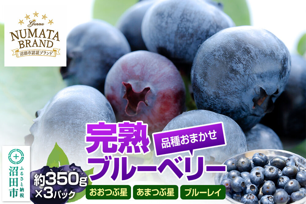 《6月下旬〜7月下旬発送》品種おまかせ 完熟ブルーベリー 約350g×3パック 林ブルーベリー園