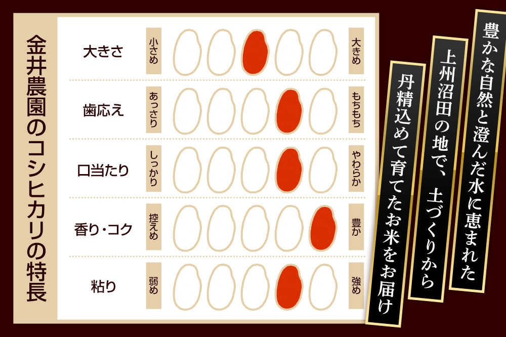 【玄米】《定期便3回》令和7年産 真田のコシヒカリ小松姫 5kg×1袋 金井農園 [こしひかり コシヒカリ 玄米 お米 毎月 定期 3か月 3ヵ月 3カ月 3ケ月]