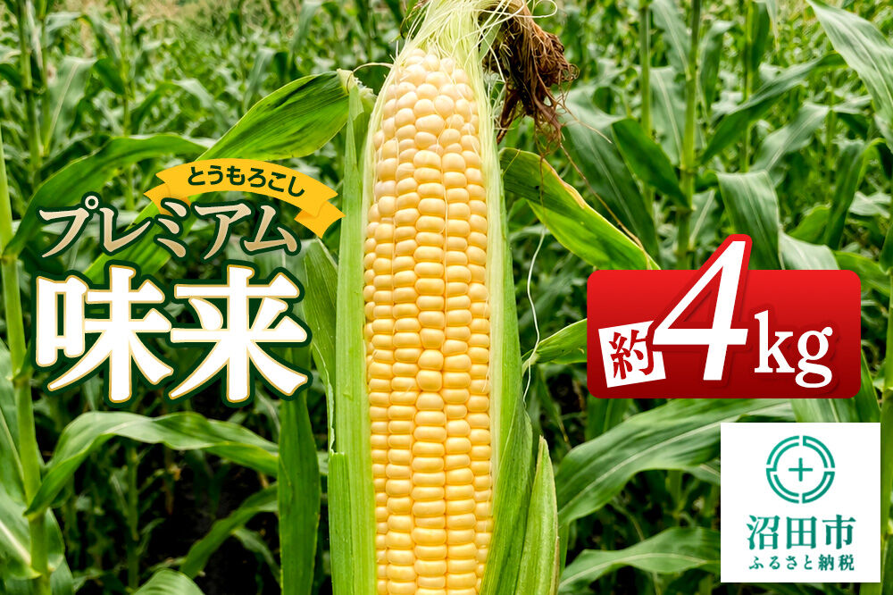 《7月下旬〜9月上旬発送》とうもろこし プレミアム味来 約4kg（8〜12本）山口いちご園
