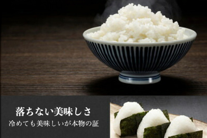 令和7年産 新米 沼田のこしひかり「みずのながれ」お試し六合 900g 群馬県沼田市産 精米 白米 コシヒカリ