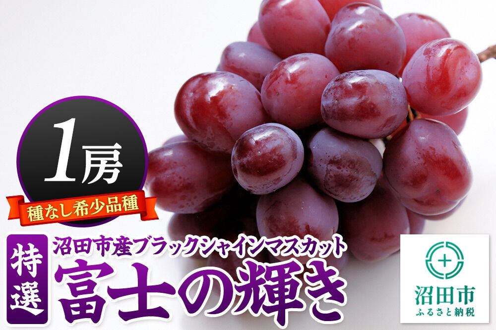 《9月下旬〜11月上旬にお届け》沼田市産 特選 富士の輝き（ブラックシャインマスカット）1房 700g以上 [葡萄 ぶどう ブドウ 超希少品種 種無し 種なし 食べやすい 大粒 濃厚な甘み]
