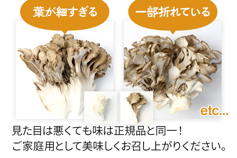 縲占ィウ縺ゅj縲代♀縺縺後∩闊櫁減蝨 逕溘∪縺縺溘¢隧ー繧∝粋繧上○