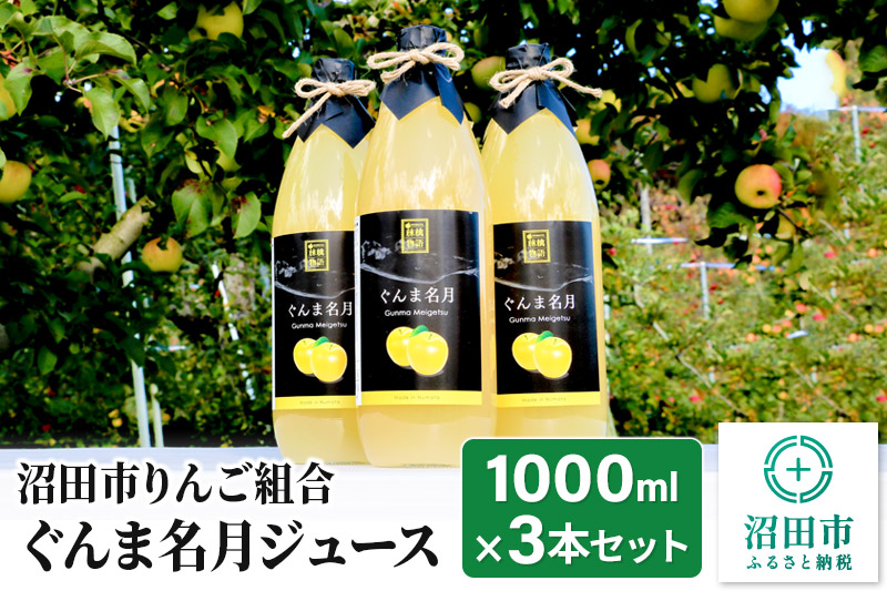 《2025年1月中旬以降発送》沼田市りんご組合 ぐんま名月ジュース（ストレート）1000ml×3本セット