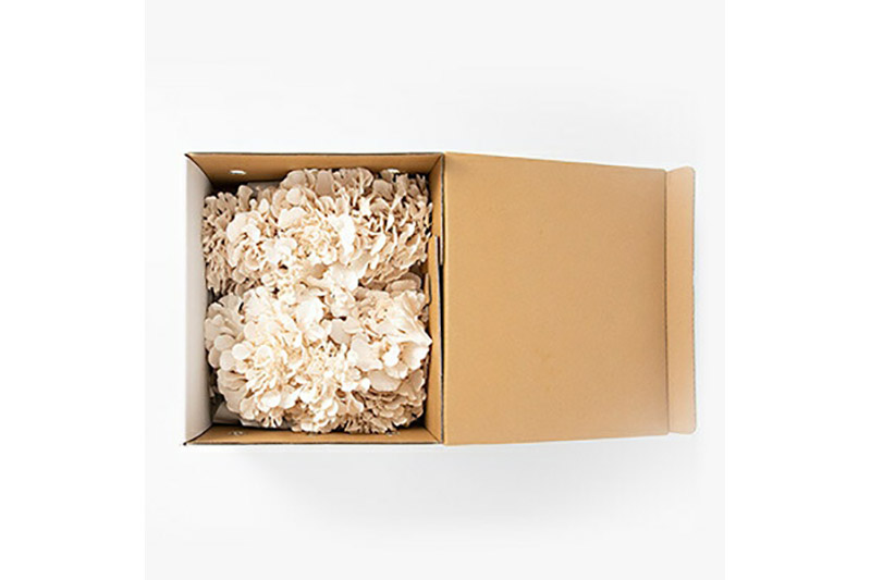 ã2026幎1æçºéãçãŸãããäžæ§ïŒçœïŒçŽ1000g è©°ãåãã ãããã¿èèžå