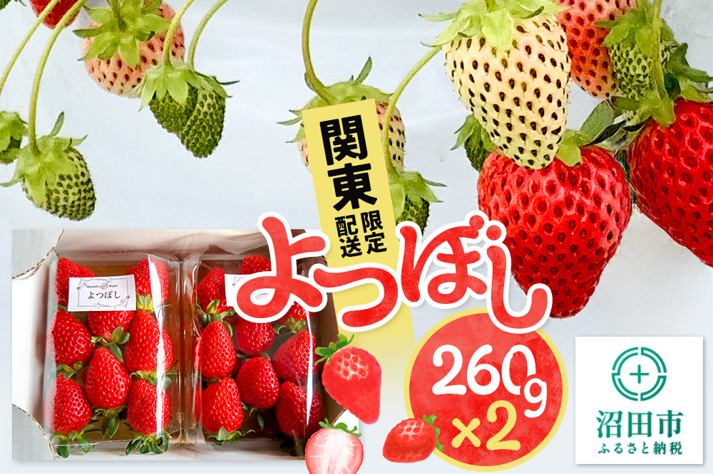 《2025年1月以降発送》関東限定配送 イチゴ よつぼし 約260gパック×2