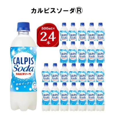 『カルピスソーダ』PET500ml　24本【1335992】