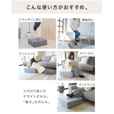 ぽんちゃん トランポリンクッション (ライトグレー) 58cm×58cm 高反発 室内用【1568238】