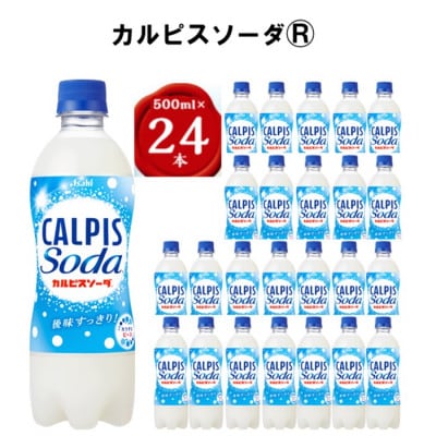 【2ヵ月毎定期便】『カルピスソーダ』PET500ml　24本　隔月全6回【4011135】