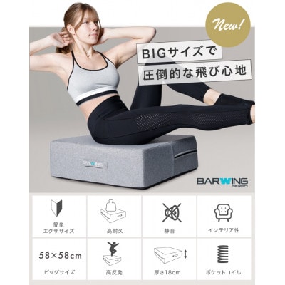 ぽんちゃん トランポリンクッション (ライトグレー) 58cm×58cm 高反発 室内用【1568238】