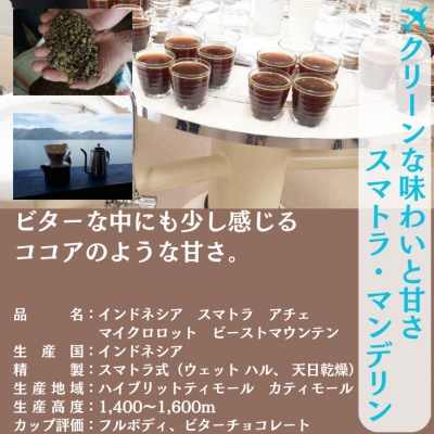 インドネシア マンデリン アチェ 中深煎り 500g ×2【豆のまま】【1681781】