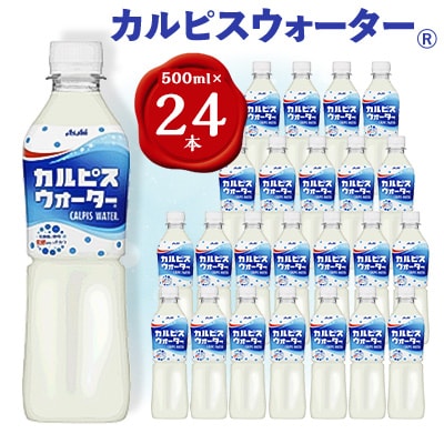 【2ヵ月毎定期便】『カルピスウォーター』PET500ml　24本　隔月全6回【4011133】