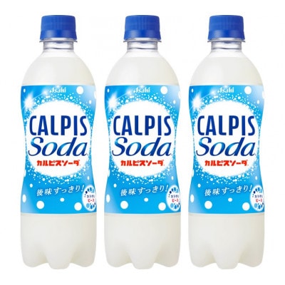 【2ヵ月毎定期便】『カルピスソーダ』PET500ml　24本　隔月全6回【4011135】