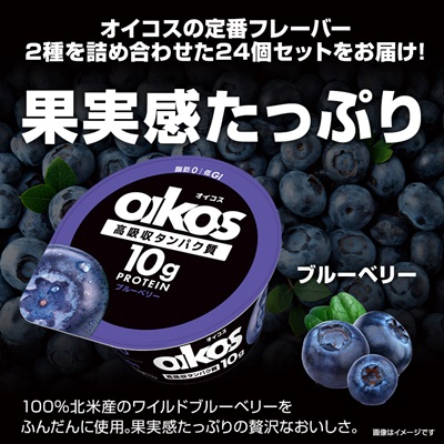 ダノン オイコス 脂肪0 2種詰め合わせセット(ブルーベリー12個・ストロベリー12個)【配送不可地域：離島・沖縄県】【1565573】