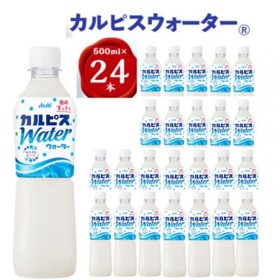 【2ヵ月毎定期便】『カルピスウォーター』PET500ml　24本　隔月全6回【4011133】