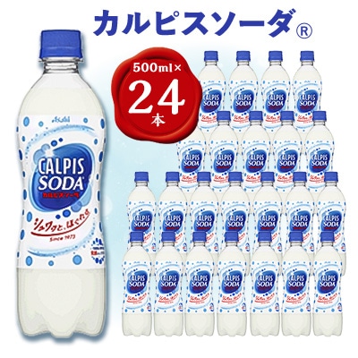 【2ヵ月毎定期便】『カルピスソーダ』PET500ml　24本　隔月全6回【4011135】