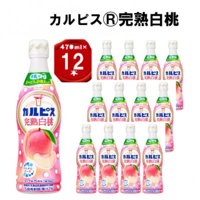「カルピス(R) 完熟白桃」プラスチックボトル 470ml×12本【1604081】