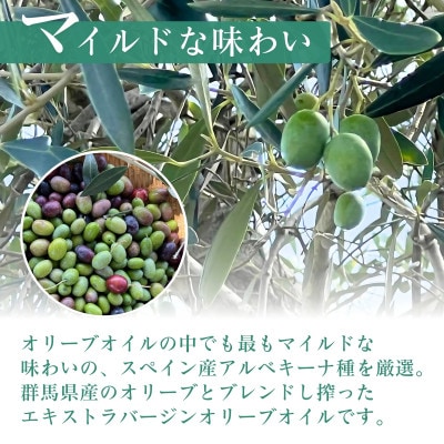 オリーブオイル140g「プレーン・レモン・柚子フレーバー3本セット」【1377919】