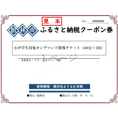 アイ・アカデミーの小中学生対象オンデマンド(苦手な所)指導チケット(60分×1回分)【1336103】