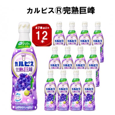 「カルピス(R) 完熟巨峰」プラスチックボトル 470ml×12本【1604076】
