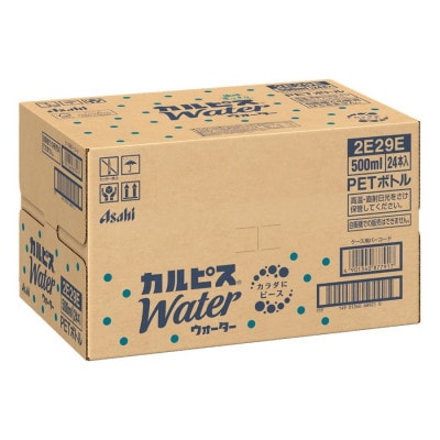 【2ヵ月毎定期便】『カルピスウォーター』PET500ml　24本　隔月全6回【4011133】