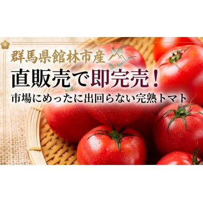 【館林市産】圧巻の大玉!完熟トマト 4kg(2Lサイズ14〜15玉) 味が濃く甘い!贅沢な贈り物にも【配送不可地域：離島】【1740405】